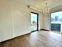 Dalvey Haus (D10), Condominium #530982731